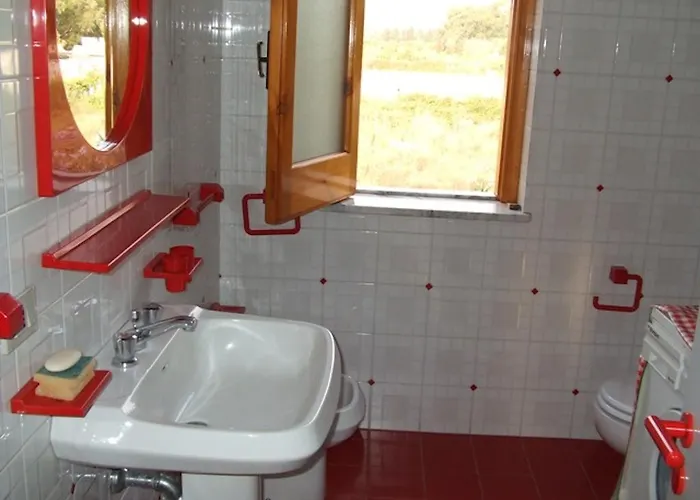 Magnolia ニコーテラ