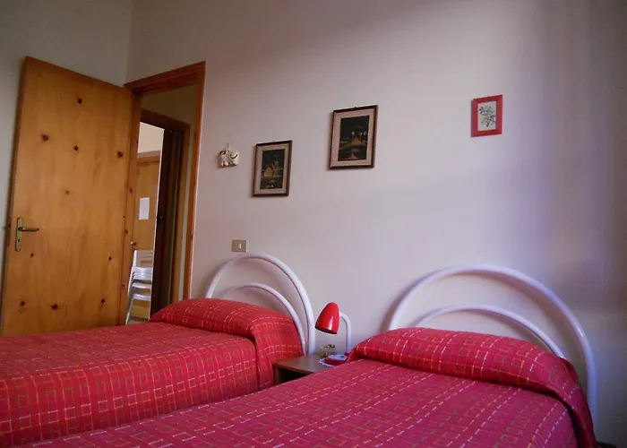 Magnolia ニコーテラ