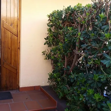 Appartement Magnolia Nicotera