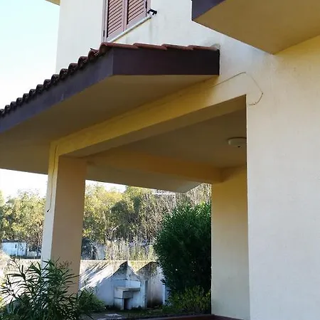 Magnolia * 니코테라 마리나