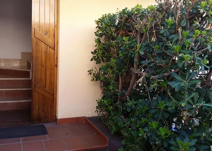 Apartamento Magnolia Nicotera